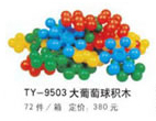 ZH-010